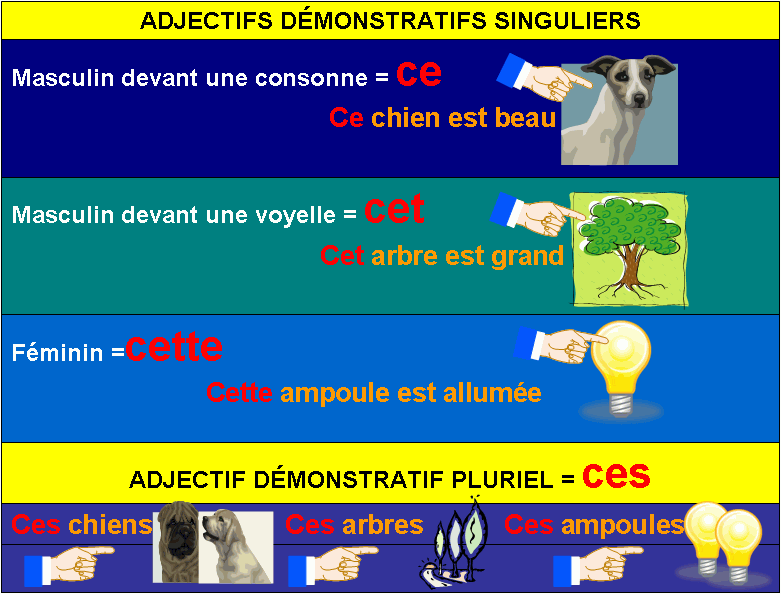 Французский cest. Adjectif французский язык. Adjectifs démonstratifs во французском. Указательные прилагательные во французском языке. Les adjectifs demonstratifs во французском.