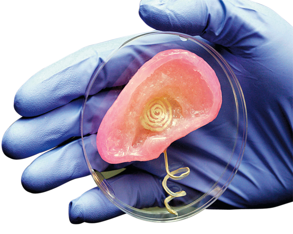 Bionic Ear at emaze Presentation