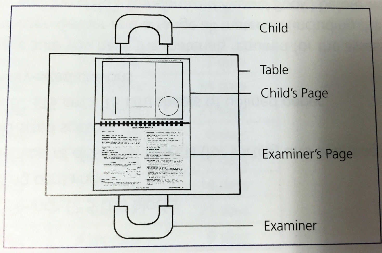 Brigance standardization and validation manually