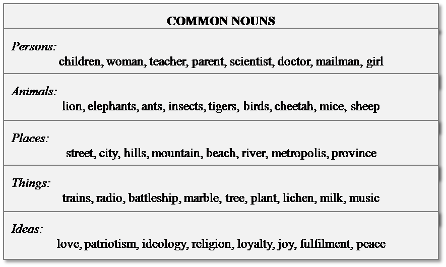 Using nouns перевод. Common Nouns. Common Nouns примеры. Common Nouns examples. Proper and common Nouns примеры.