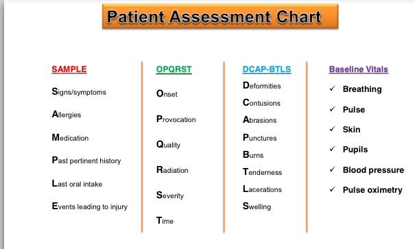 BASELINE VITALS on emaze