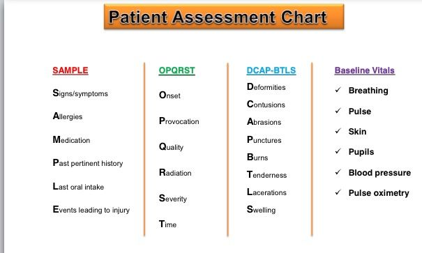 BASELINE VITALS On Emaze