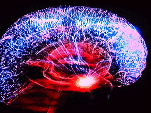 Science of the brain at emaze Presentation