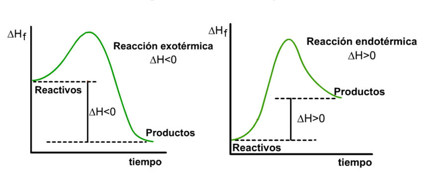 REACCIONES EN LA NATURALEZA on emaze