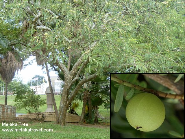 Under The Sea By Farhanah145 On Emaze