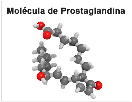 Prostaglandinas ejemplos