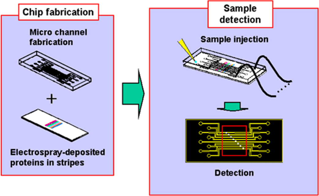 Chip Testing Animation Engl 204- Animal testing.pptx at emaze Presentation