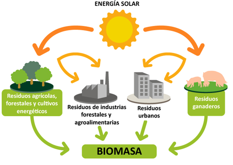 Биомасса в энергетике. Возобновляемые источники энергии биомасса. Биомасса альтернативная Энергетика. Биоэнергетика биотопливо.