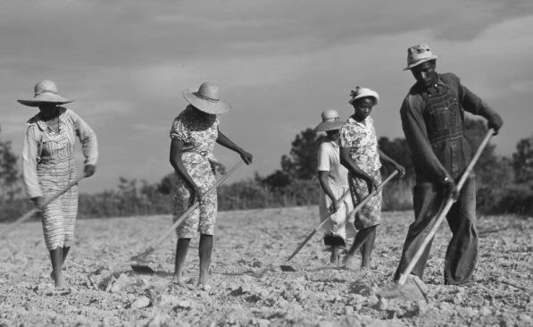 sharecropping-on-emaze