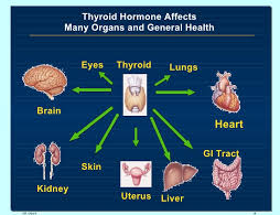 Effect of temperature to rate of reaction. Effect of temperature and ph on enzyme activity. What can cause stress. Анатомия воды. Activation energy of the reaction.