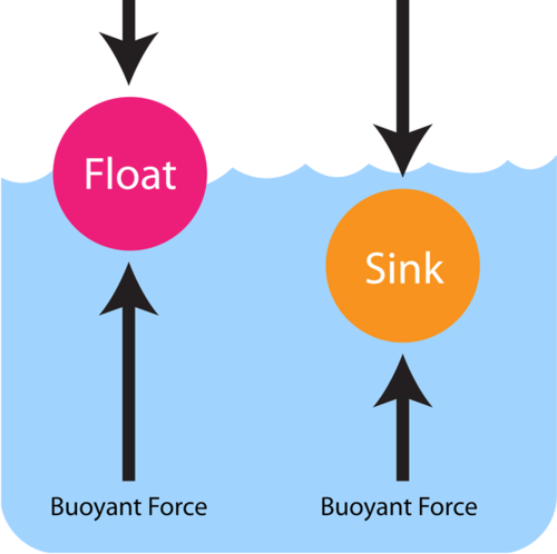 Image result for sink or float forces