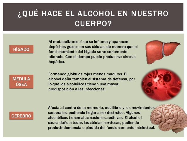 efectos del alcohol en el cerebro