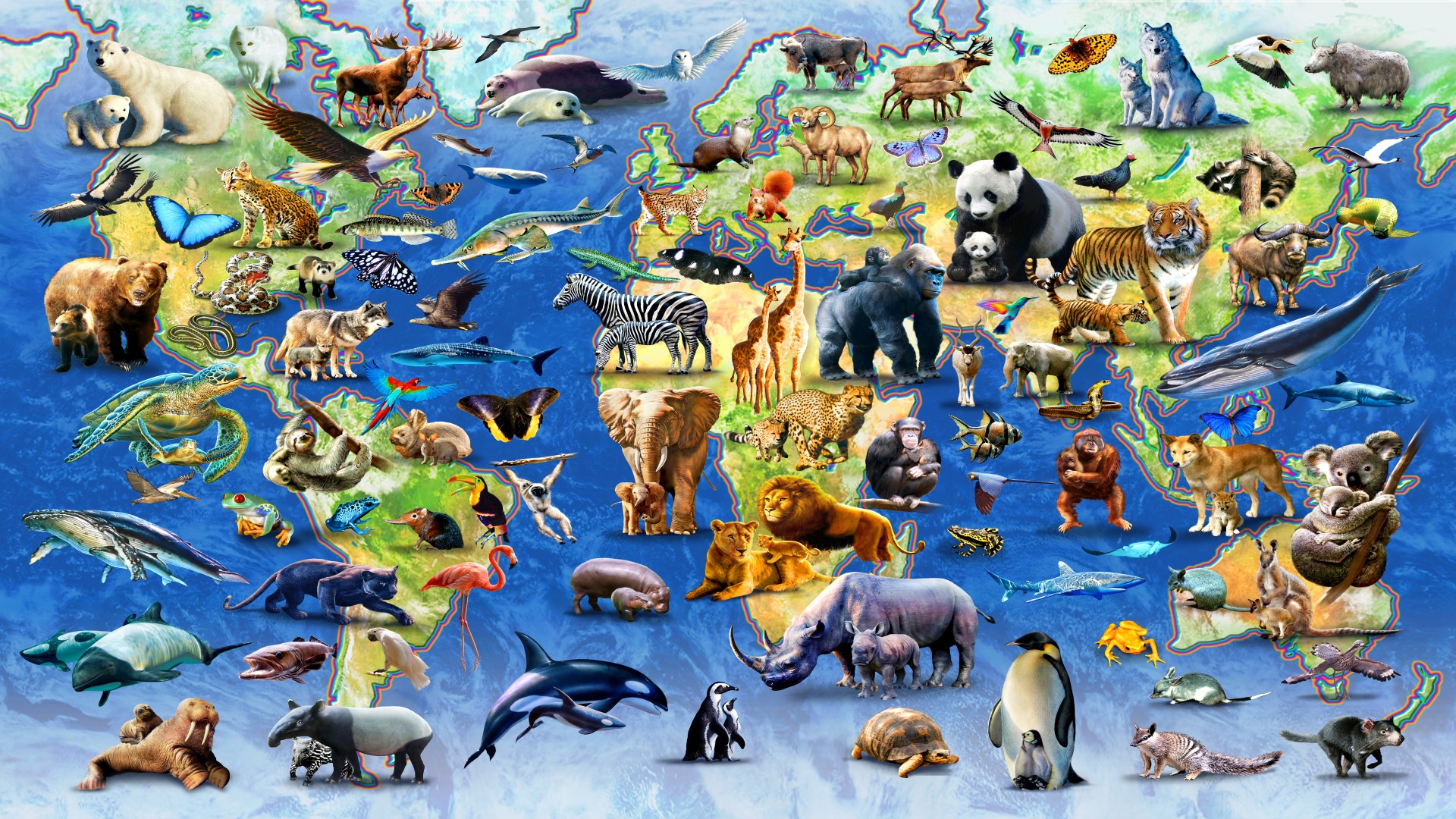 Животные которые много живут. Животные земли. Много животных. Животный мир планеты земля. Множество животных.