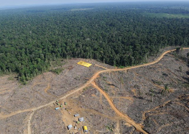 Threatened Habitats on emaze