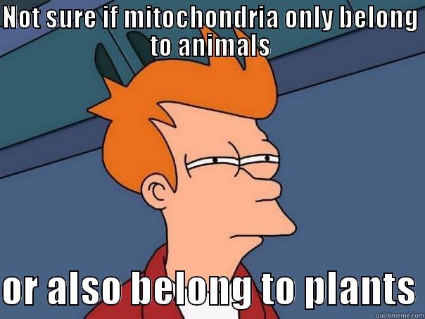 mitochondria-on-emaze