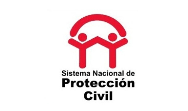 Manual De Organización Y Operación Del Sistema Nacional De Protección