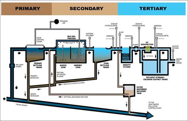 Liver and Sewage treatment plant on emaze