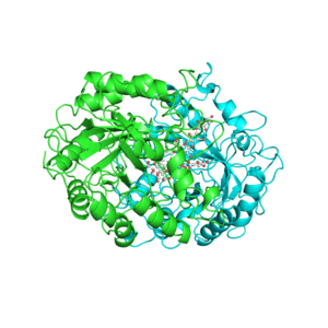 Pdb avatar. Ферменты 3д модель. Метаболизм анимация. Протеин гиф. 3d Protein Synthesis.