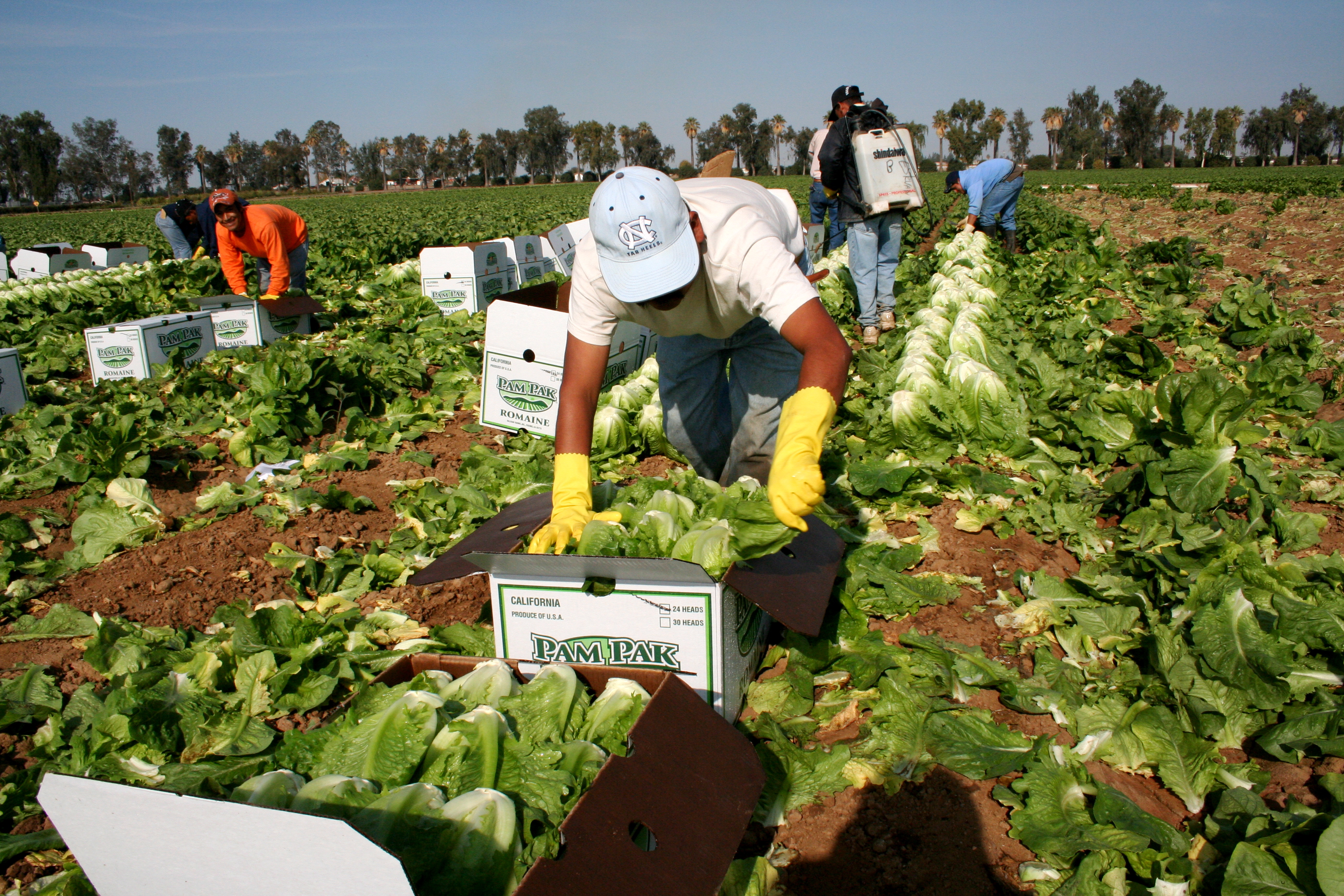 Dietas trabajadores