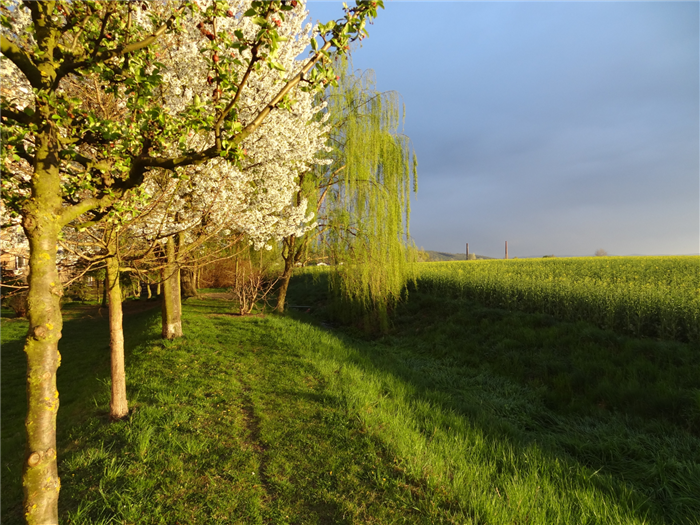 Landscape at emaze Presentation