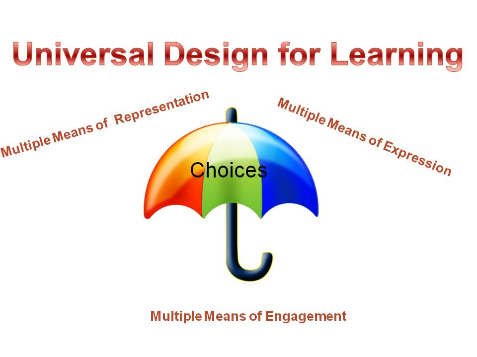 Universal designs. Universal Design for Learning. Universal Design Learning. Удл Universal Design for Learning. UDL.