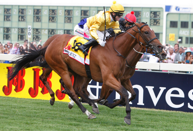 Horse Rsa South Africa at emaze Presentation