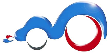 Conformar etimologia