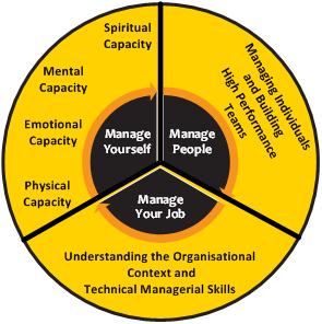 Physical capacity. Knowledge skills. Mental and Emotional capacity. Гуссерль knowledge of skills useful knowledge. Necessary skills and knowledge HR.