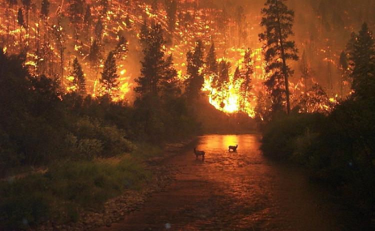 Resultado de imagen para causas antropicas del cambio climatico