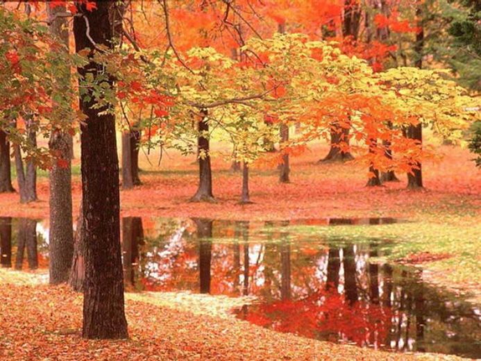 L'automne at emaze Presentation