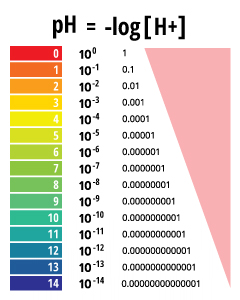 Why is the pH Scale Logarithmic?