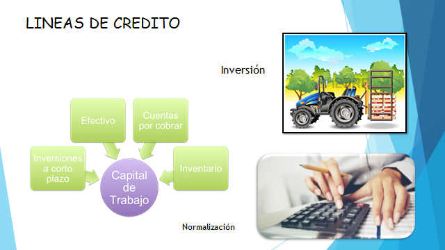 Fuentes De Financiamiento On Emaze