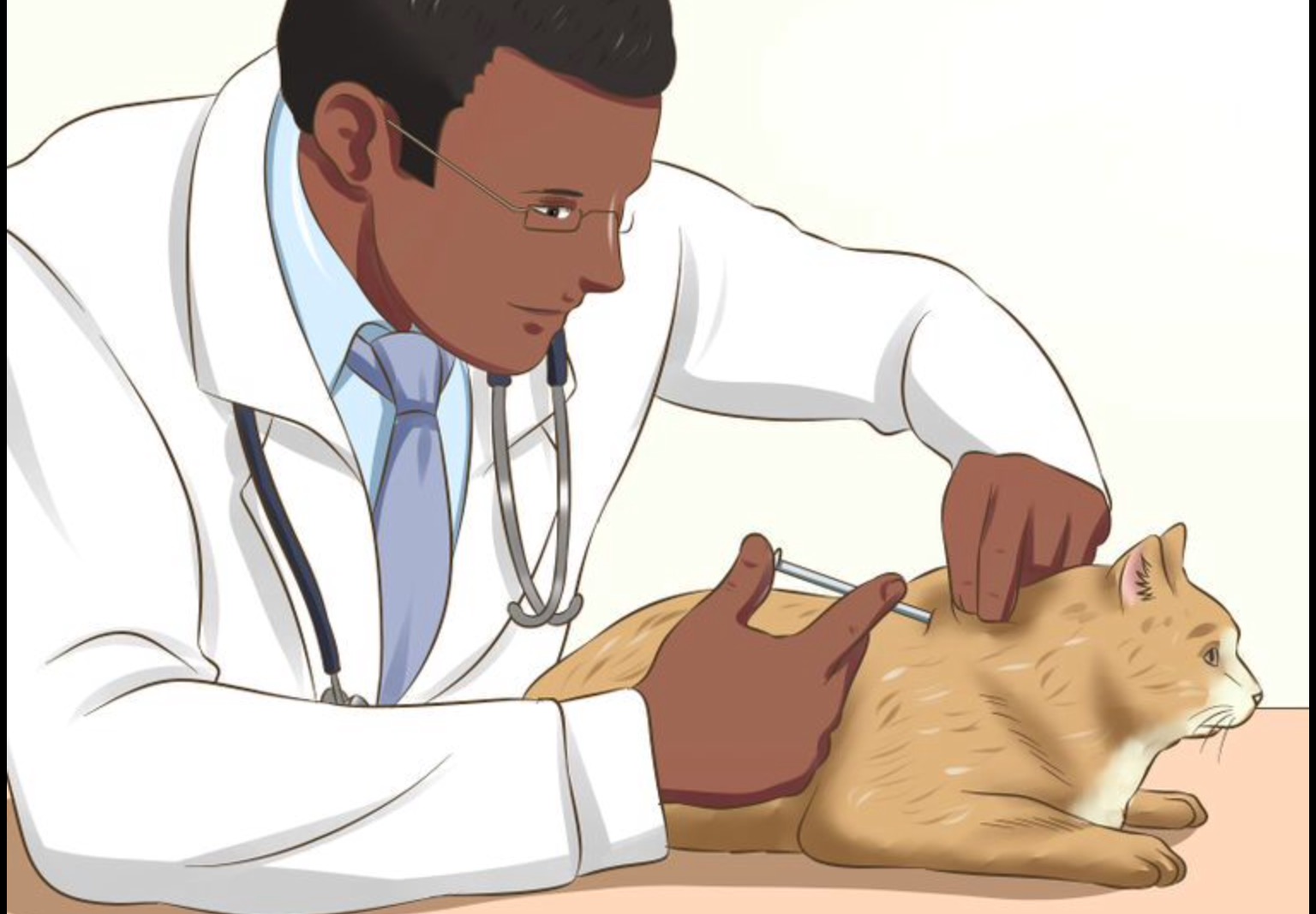 Taking Care of Pets