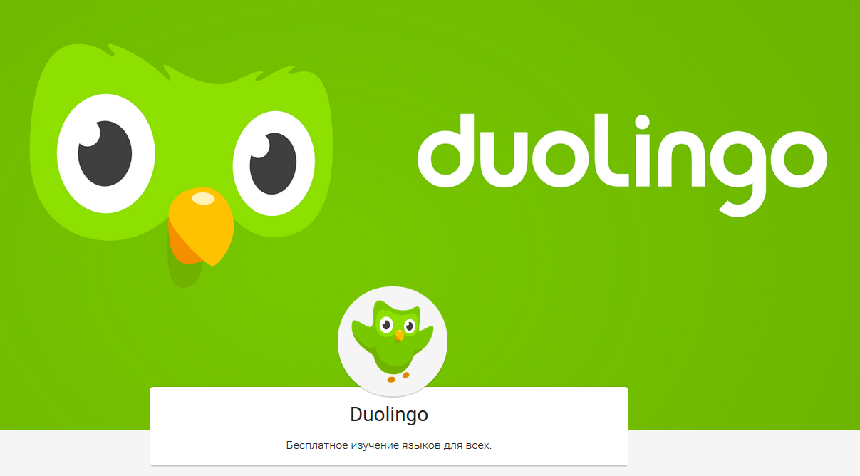 Duolingo 4pda