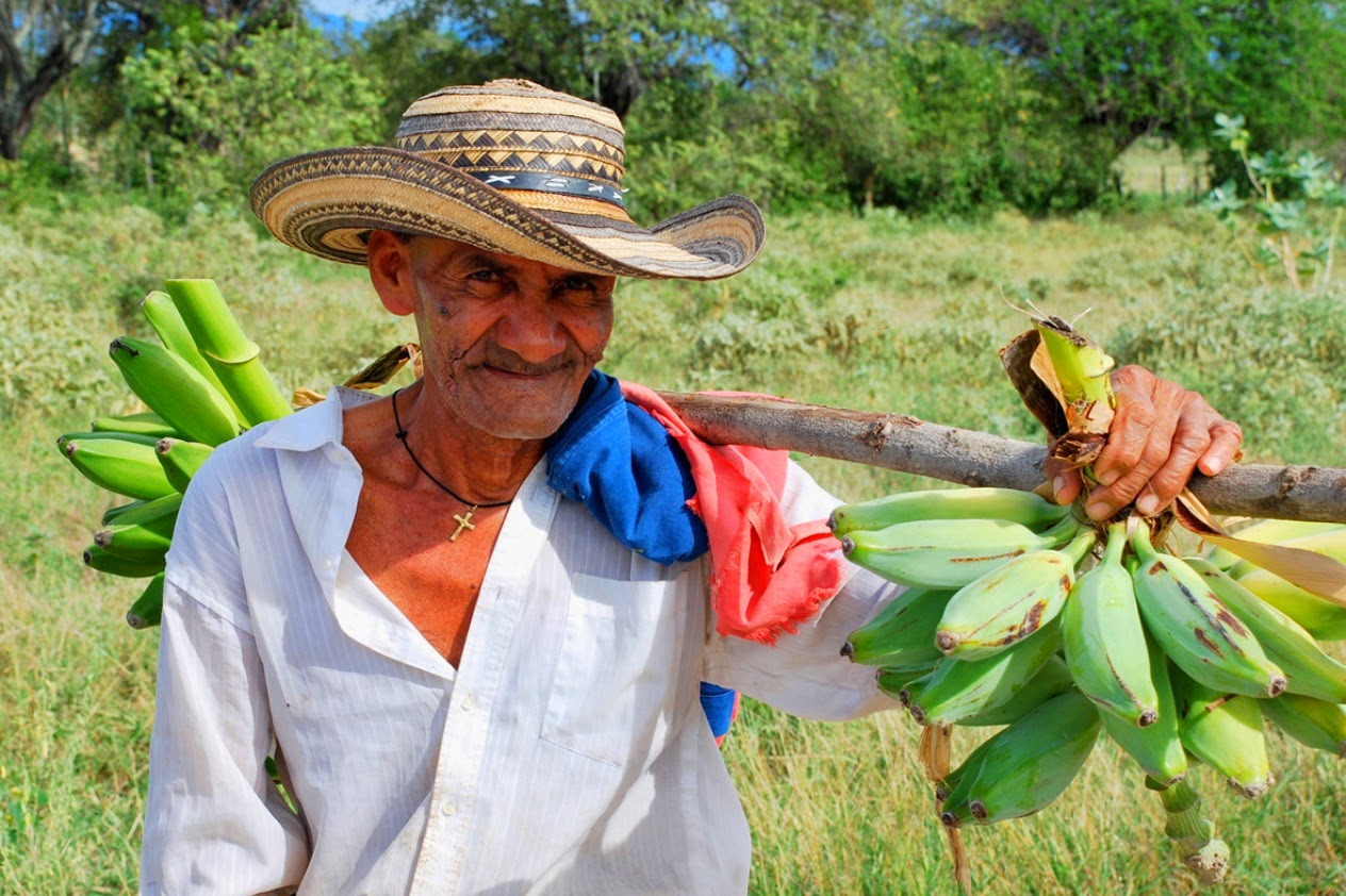 Перу медицина. Campesino. Каскарилла. Campesino Katuava нукиф. Cosecha de mujeres Мексика.