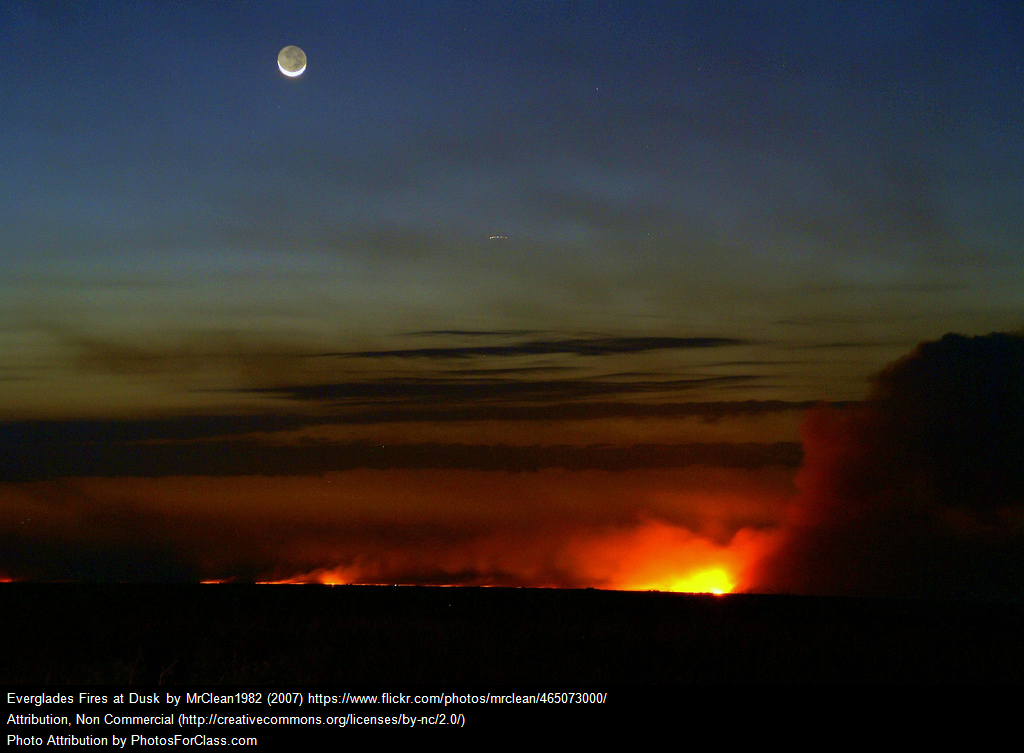muck fires