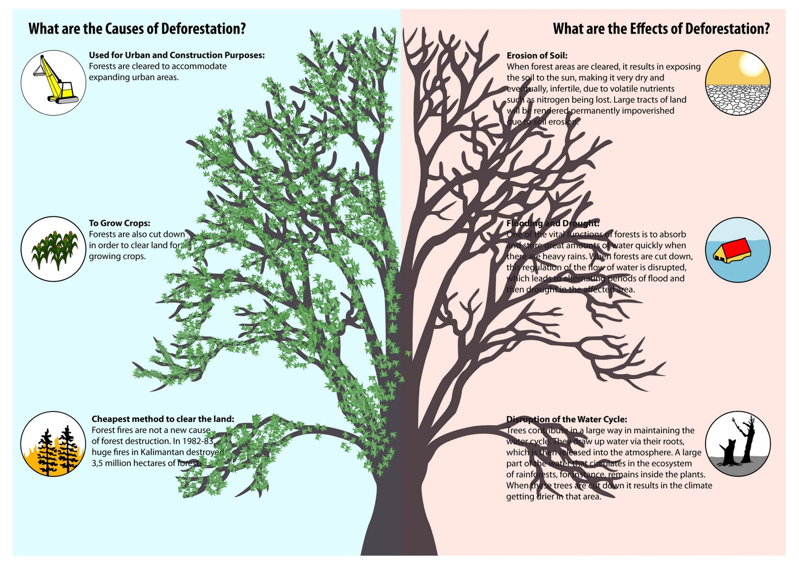 Problem Tree Deforestation Deforestation on emaze