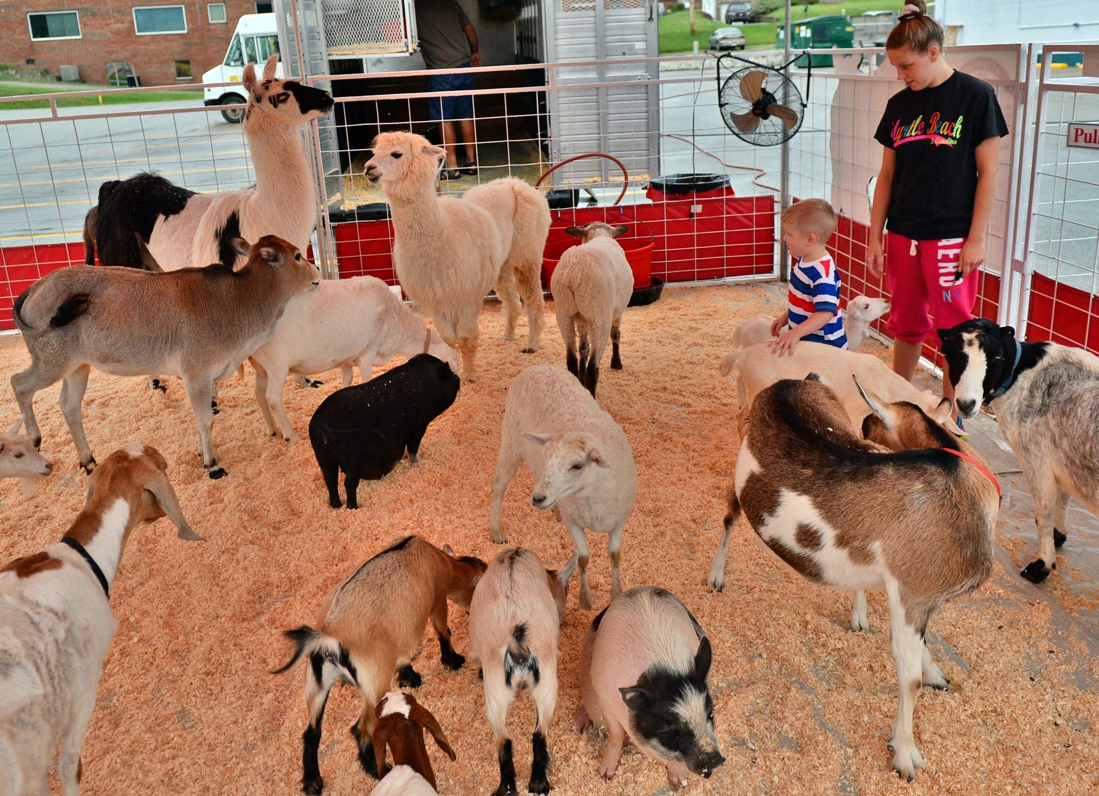 Sissy Island Petting Zoo