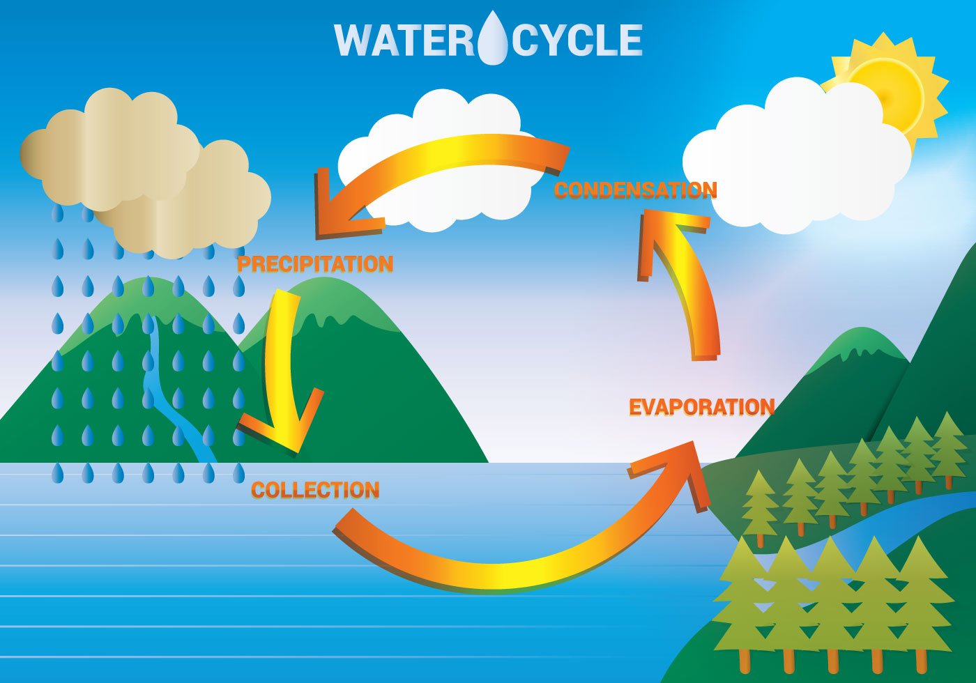 water-cycle-summary-what-is-it-a-level-geography-revision-notes