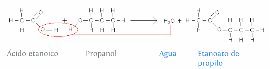 Ch3cooh реакция этерификации. Пропанол 2 ch3cooh. Пропанол 1 ch3cooh. Пропанол 1 связь. Пропанол 3.