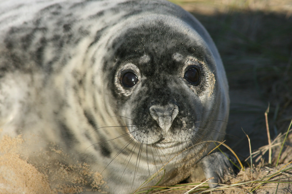 career infomation on emaze