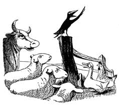 Animal farm on emaze