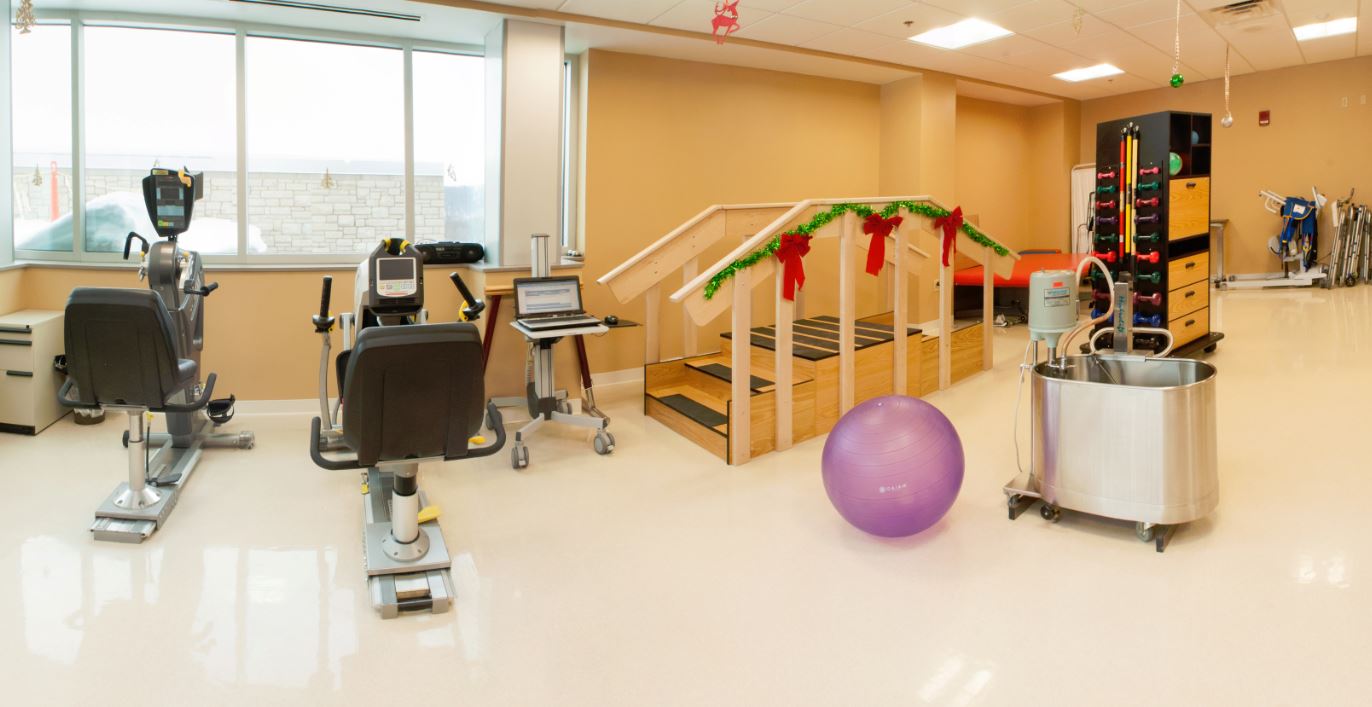 Physical Therapy at emaze Presentation