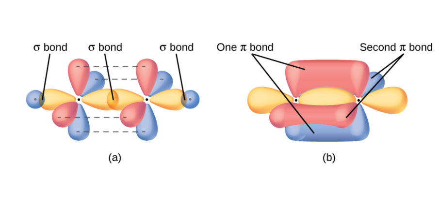 sigma bond hybridization