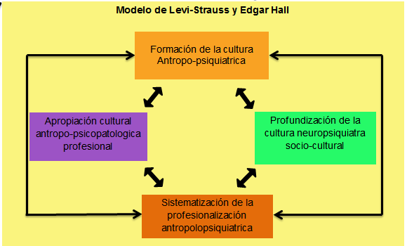 Modelo antropológico by aideyinela on emaze