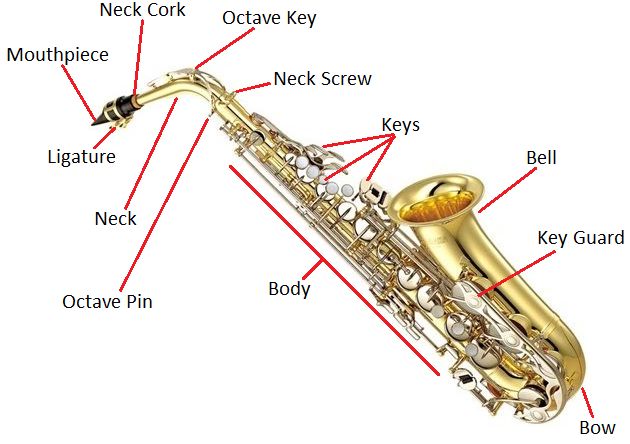 Saxaphone Inversion Saxophone at emaze Presentation