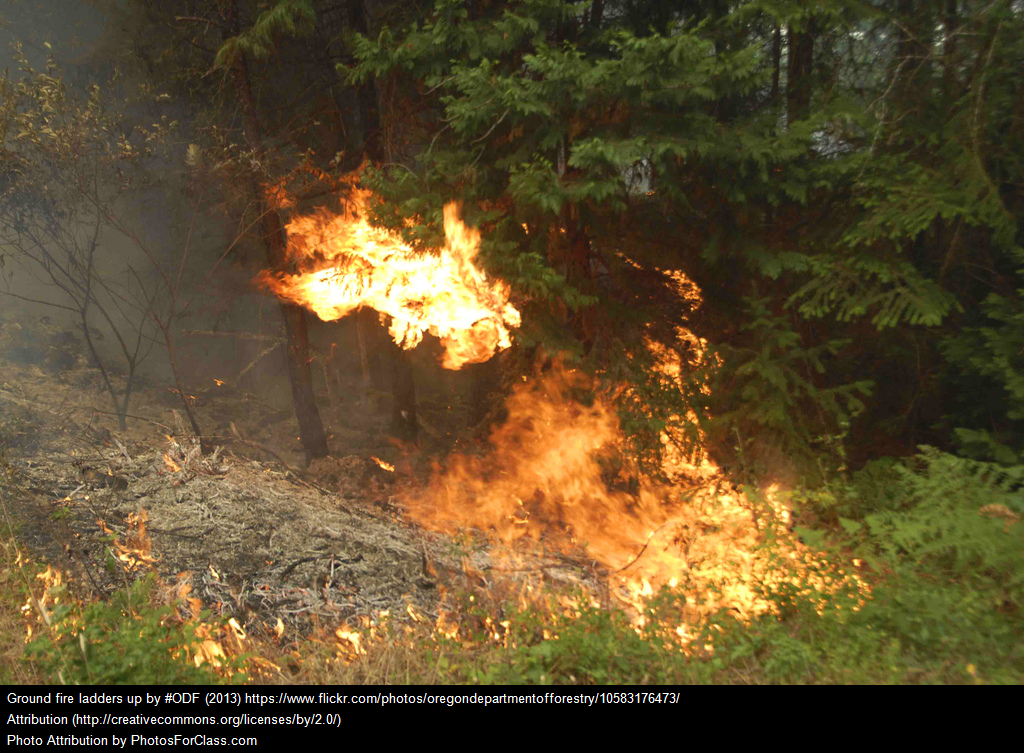 Presentation Name on emaze