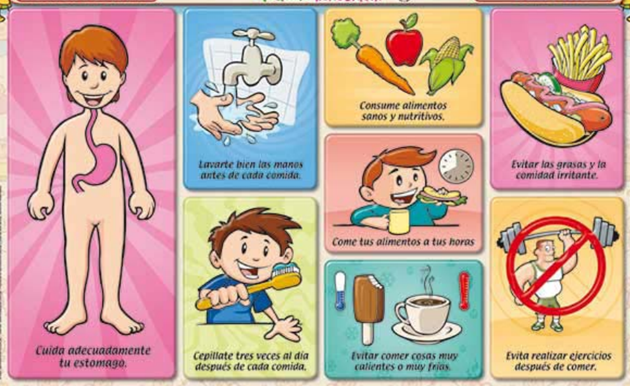 Consejos Nutricionales Cuida Tu Aparato Digestivo Plato Del Buen Images 8999