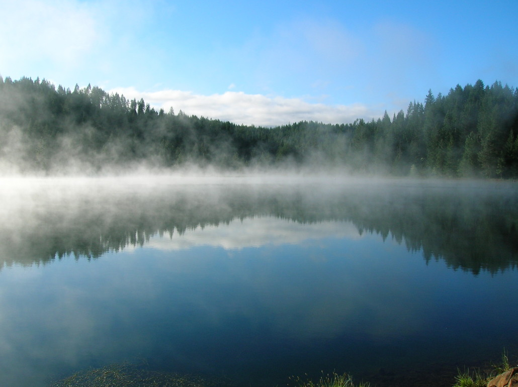 water-cycle-on-emaze