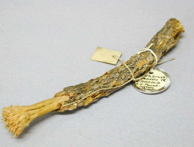 the first ever toothbrush
